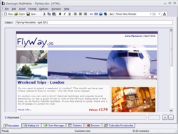 Newsletter - Travel / Airline Company