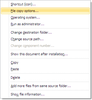 Menu - File copy options