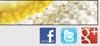 Logotypes for Facebook, Twitter and Google+ can be placed in the bottom right of your newsletter.